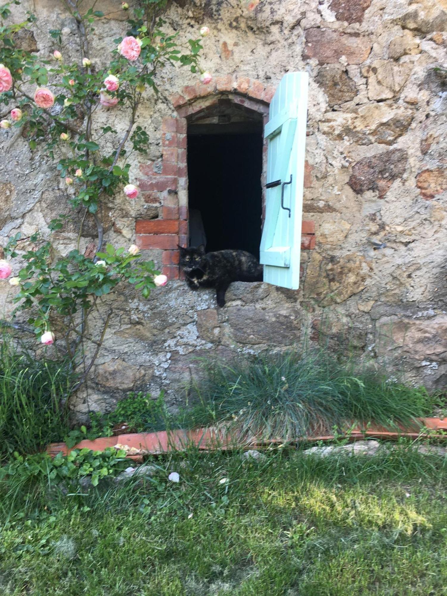 Gites De Gobertier Saint-Alban-d'Ay Exterior photo